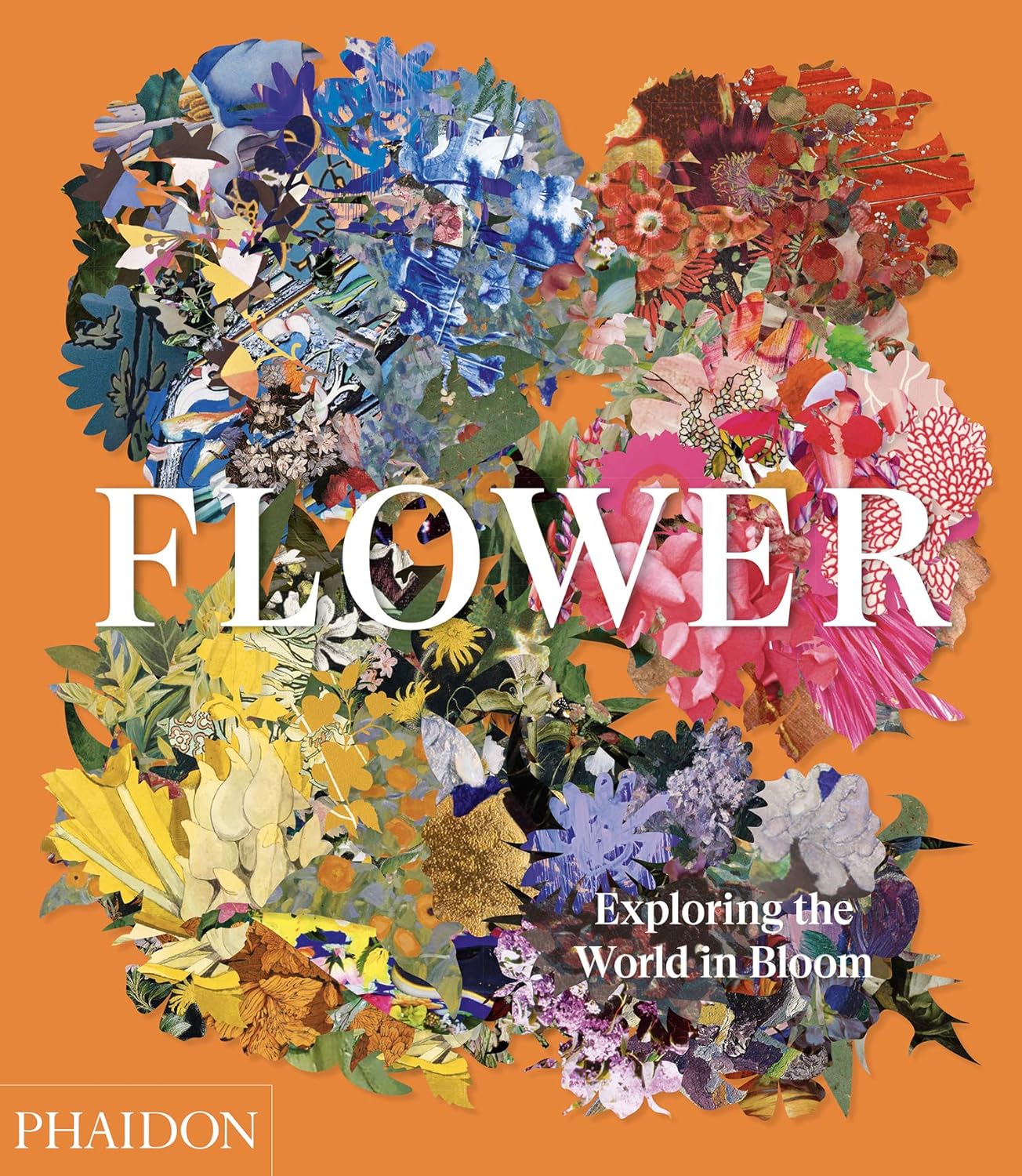 Flower - Exploring the World in Bloom