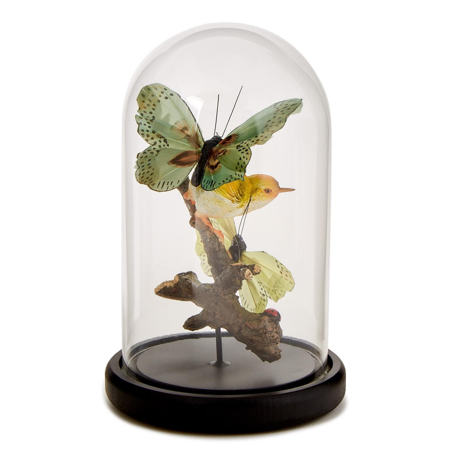 Flora and Fauna Butterfly and Bird Sculpture