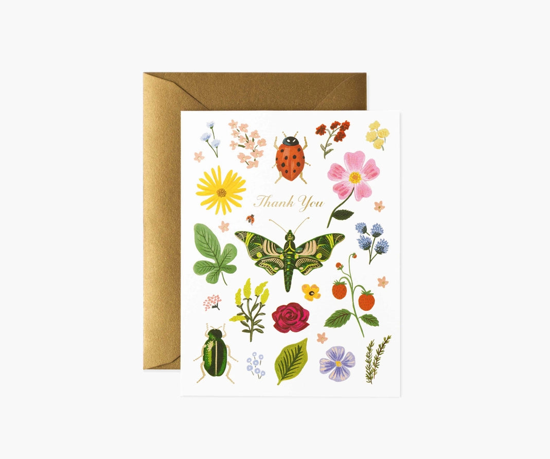 Boxed Card Set