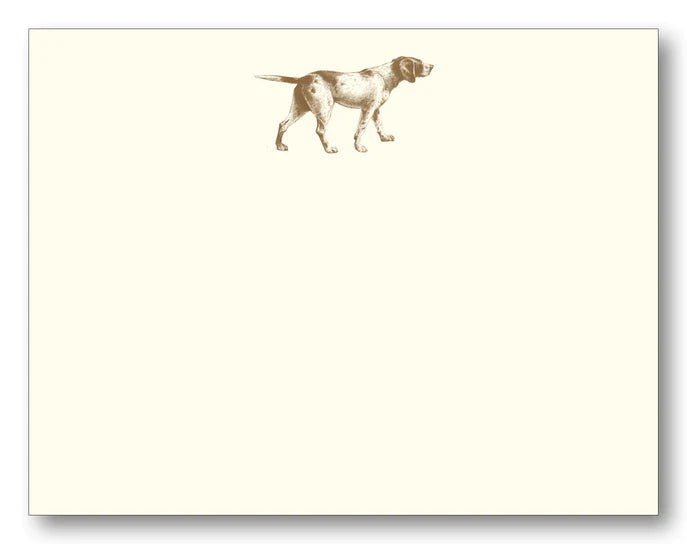 Pointer Chocolate FCE