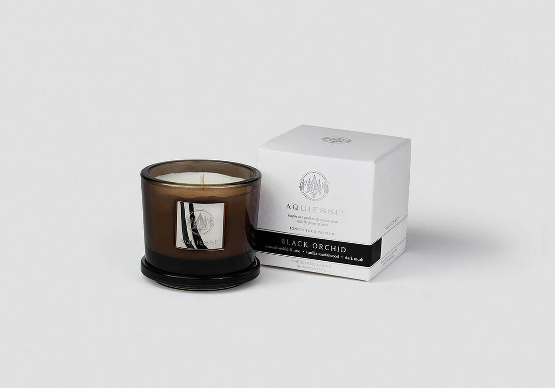 Portfolio Candle Black Orchid
