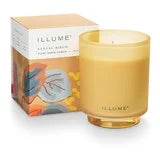 Santal Birch Boxed Glass Candle