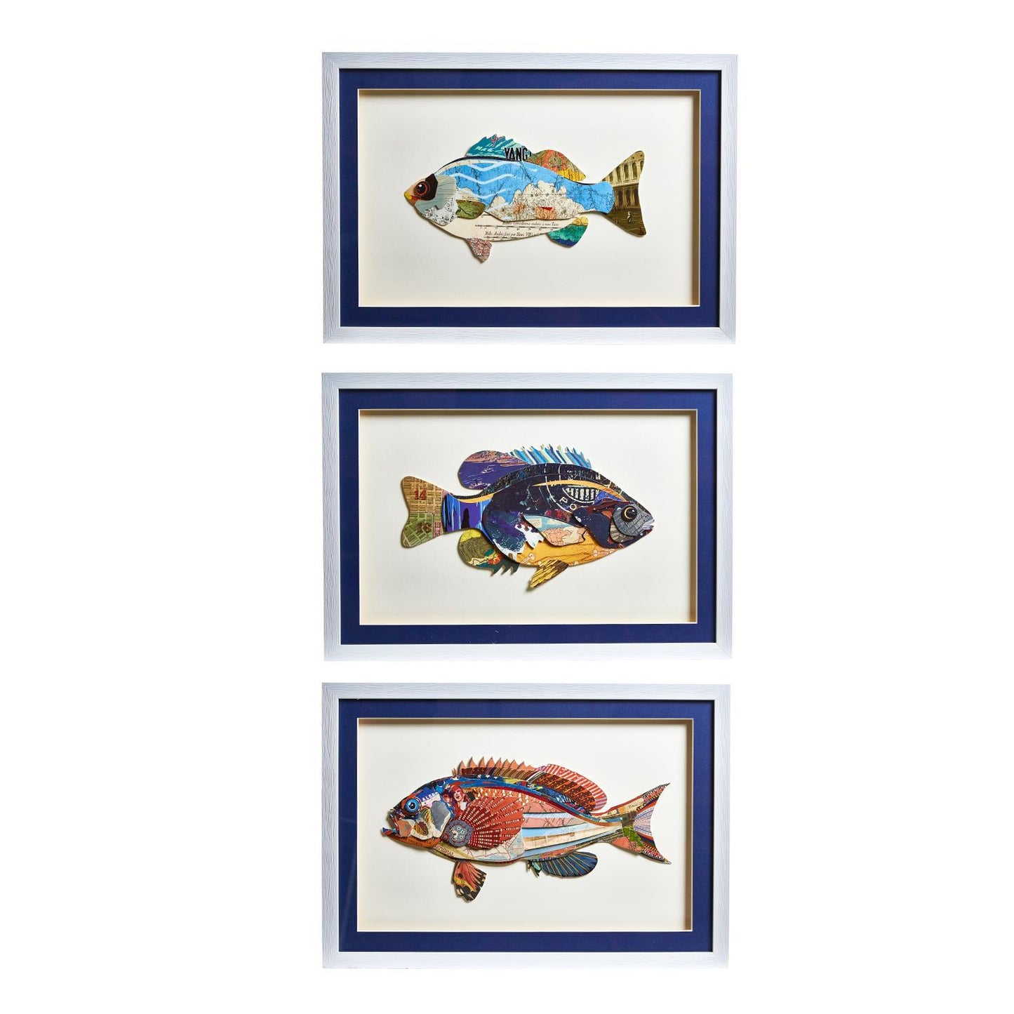 Fish Collage 2