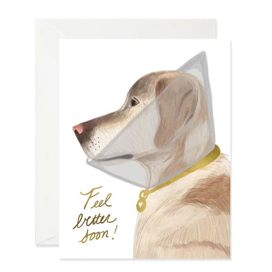 Feel Better Doggie GC