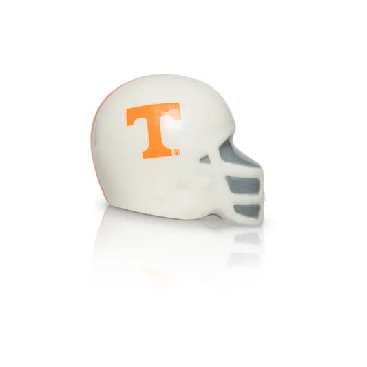 University of Tennesee Mini